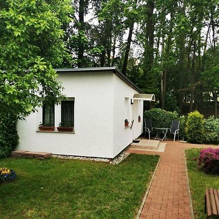 Ferienbungalow Im Igelbau 巴贝 外观 照片