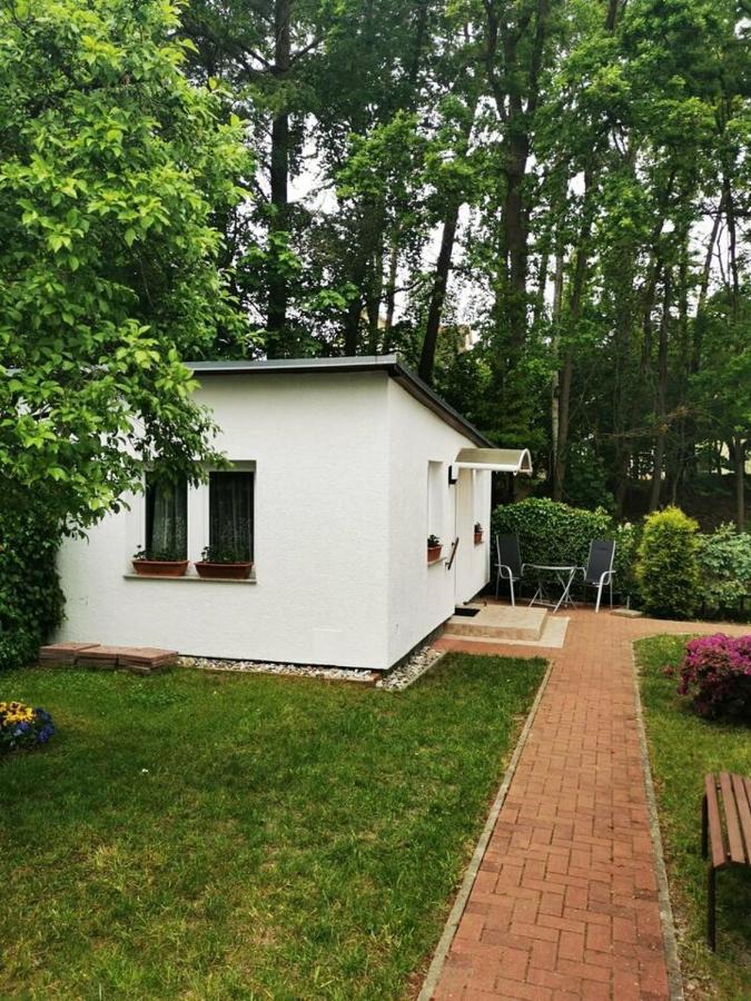 Ferienbungalow Im Igelbau 巴贝 外观 照片